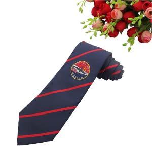 Fashion Men Silk Ties With Company Logo